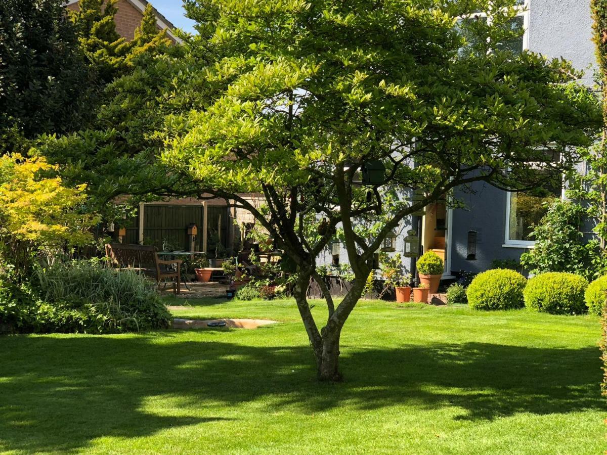 The Elms Guest House Bristol Filton Exterior foto